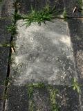 image of grave number 889379